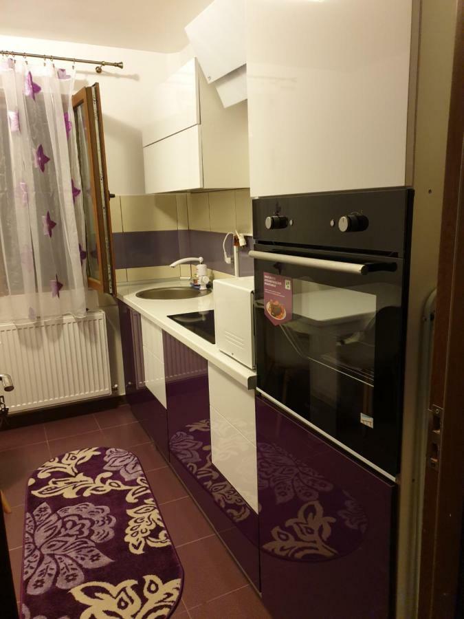 Apartament Oana'S Home Orşova 外观 照片