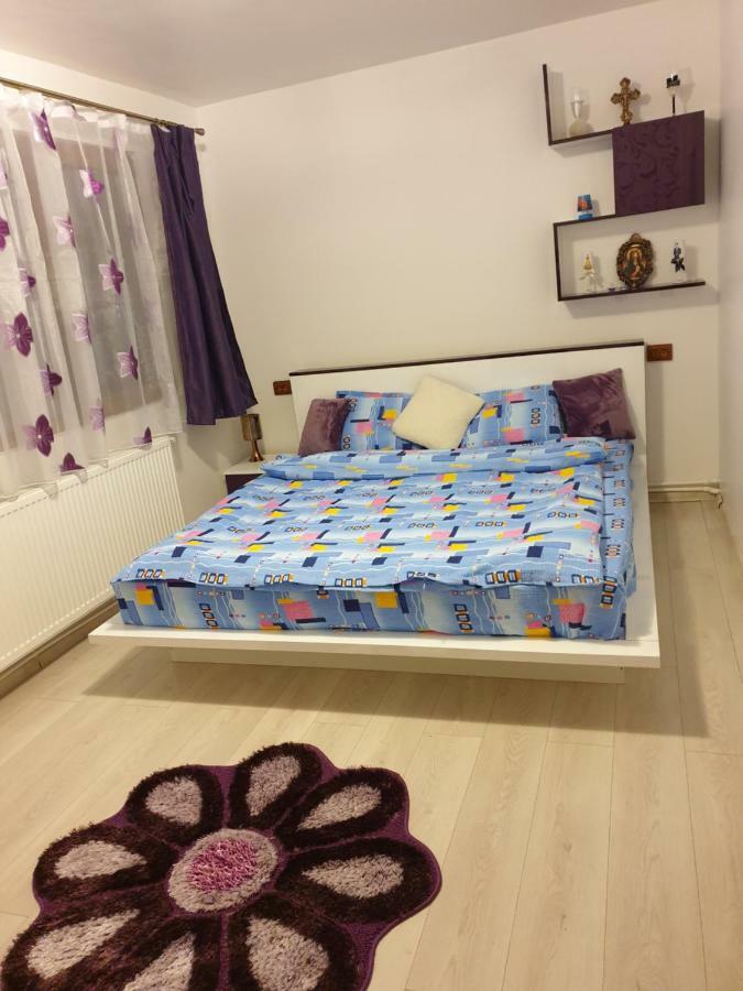 Apartament Oana'S Home Orşova 外观 照片